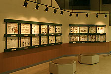世界の昆虫標本室